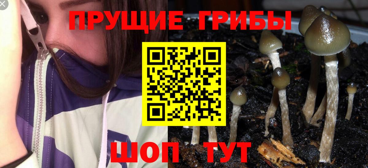 Галлюциногенные грибы мицелий  Вход с VPN  Оренбург 