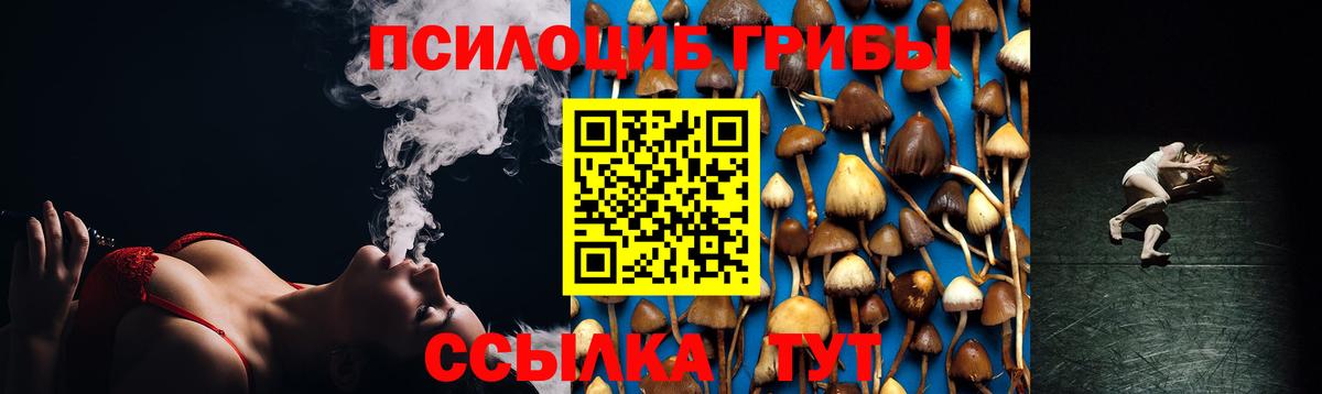 Галлюциногенные грибы Cubensis Оренбург